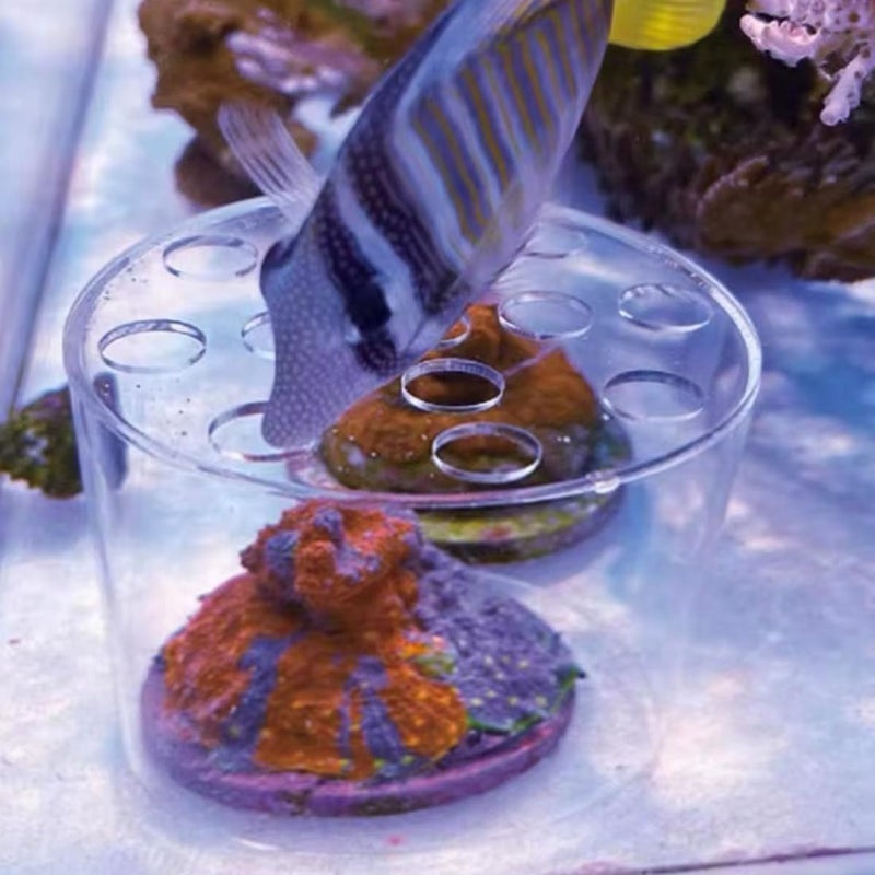 Weramics Acrylic Coral Feeder Cover Reef Feeding Breeding Protection Cover Avoid Corals Food Floating Around - Image 5